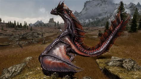 nexus mod skyrim|More.